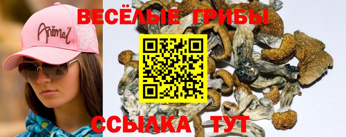 Ханты-Мансийск  Псилоцибиновые грибы Magic Shrooms  Вход с VPN 