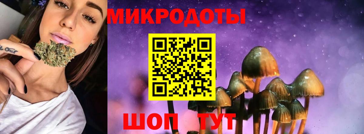 Псилоцибиновые грибы Psilocybe Ханты-Мансийск